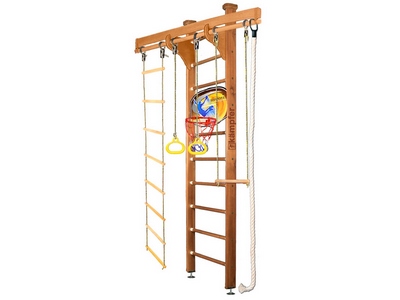 Спортивная стенка Kampfer Wooden Ladder Ceiling Basketball Shield